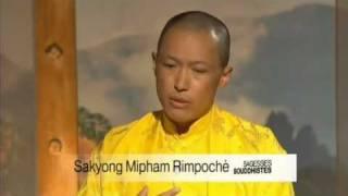 Buddhist Wisdom -Interview with Sakyong Mipham Rinpoche 1 of 2. Shambhala