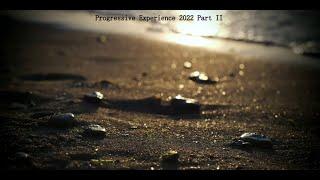 Progressive Experience 2022 Part II [Progressive house, Organic house, Melodic techno] [Mix]