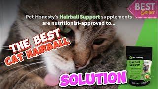 The BEST Cat Hairball Solution You Haven't Tried | Game-Changing Treats