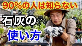 【目からウロコ】石灰は実はスーパー資材です　　　　　　【カーメン君】【園芸】【ガーデニング】【初心者】