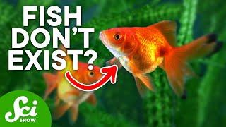 Why Humans May Actually Be Fish