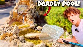 Saving FISH LIVING In DEADLY Abandoned POOL!