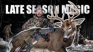 LATE SEASON WHITETAIL HUNTING | BUCK DOWN!