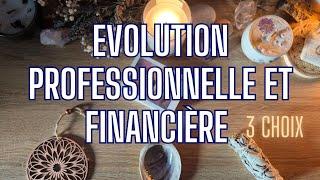 PROFESSIONNEL ET FINANCIER  3 CHOIX | INTEMPOREL