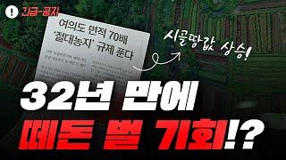 32년만에 부동산 투자 기회가 온다? | 여의도 면적 70배 절대농지 규제 푼다 | 절대 농지 투자전략 이렇게 하세요 | 대박땅꾼 20년 노하우 꿀팁