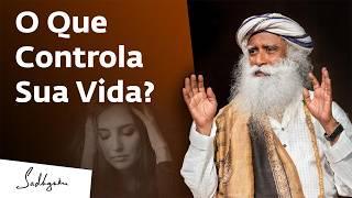 Como Superar o Passado e Criar um Futuro Melhor | Sadhguru Português