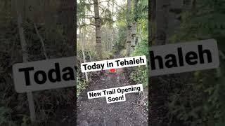 Take a Hike - New Trail Opening Soon in Tehaleh - 30+ Miles and Counting!