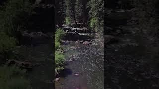 Taking in the views in southwest Colorado near Pagosa Springs #videography #dji #drone