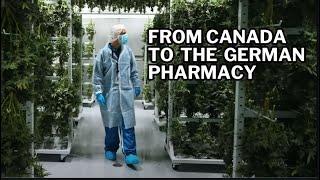 The Truth About Medical Cannabis: From Seed to Pharmacy | Four 20 Pharma Documentary