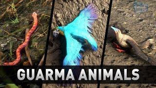 Red Dead Redemption 2 - All Guarma Animals (Missable)