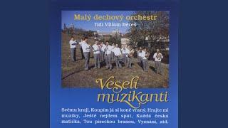 Veselí muzikanti