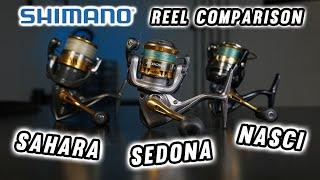 Shimano Sedona, Sahara, and Nasci: Which Do You Need? (Full Comparison)