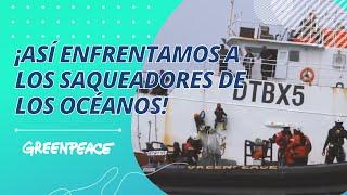 ¡Así enfrentamos a los saqueadores de los océanos! - Greenpeace Argentina