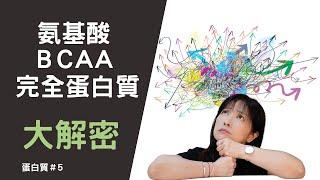 氨基酸/BCAA/優質蛋白質大解密-蛋白質＃5 馬上了解如何選擇優質蛋白質！更有效率的補充蛋白質！