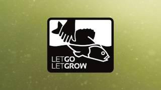 Let Go. Let Grow. | Nippon Tackle