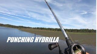 Punching Hydrilla for bass on the Potomac River