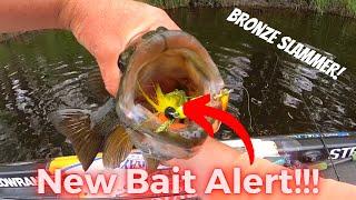 New Bait Alert! Check this Mepps Bronze Slammer out!