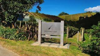 Destiny Bay Vineyard & Winery Tour (Full Tour)