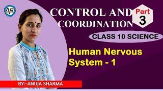 CONTROL AND COORDINATION - HUMAN NERVOUS SYSTEM - 1