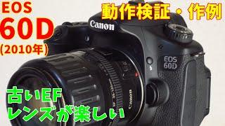 【2010年発売】キヤノン EOS 60D 買ってみた 動作検証・作例 古いEFレンズと組み合わせるのが楽しい