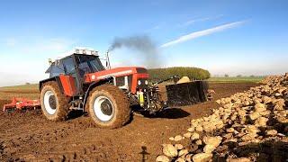 88' Zetor 16145 IC - Deep tillage after sugar beets. Straight pipe turbo sound