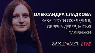 Кава проти ожеледиці, правильна обрізка дерев, садівники | Олександра Сладкова на ZAXID.NET LIVE