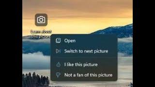 Remove learn about this picture icon - windows 10/11 Windows Spotlight Desktop background icon