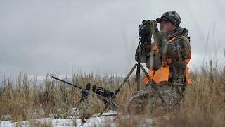 Rifle Mule Deer Hunt: Utah Public Land