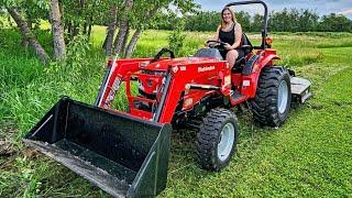 Tackling our Overgrown Yard