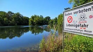 Silbersee in Nürnberg mit INFOSℹ️  (Er zählt zu den giftigsten Gewässern in Deutschland) Juli 2023