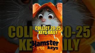 Hamster kombat collect 20 keys daily. Secret trick revealed