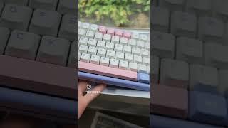 Can you believe this keyboard only costs $80?
