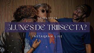 ¿Lunes de Triiisecta? | Instagram live Completo