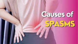 Causes of Back Spasms | Health Insiders