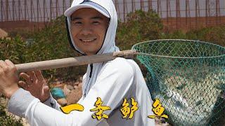 阿烽鲈鱼扣差点空军，几大排就抓了一条鲈鱼，期待下次能发财