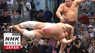 GRAND SUMO: Day 11 of the November 2024 Tournament - GRAND SUMO Highlights