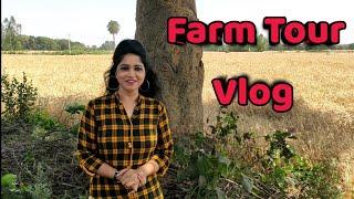 My Farm Tour | Enjoy the "KHETI" | Kheton ki Sair | Shweta Jaya Travel Vlog