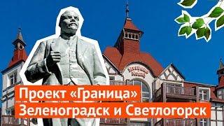 Зеленоградск и Светлогорск: нашествие безразличия и насекомых