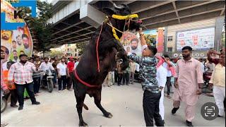 Hyderabad Sadar Festival 2024 | Anjan Kumar Yadav | Laddu Yadav | Sadar Sammelanam at NTR Stadium