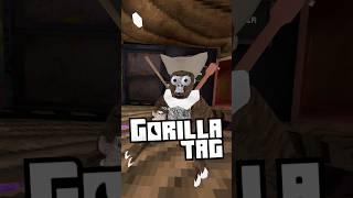 Did you know!?!?!?#cowboi4fingerpainter @_GorillaTagVR