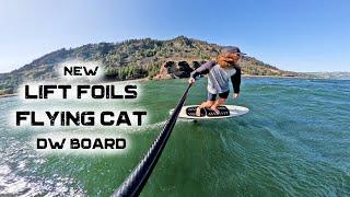 Lift Foils Flying Cat | DW board review