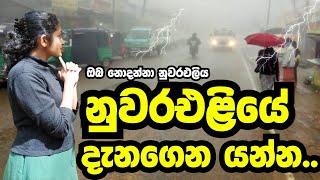 නුවරඑළියේ දැනගෙන යන්න | nuwara eliya travel places travel with udeshi