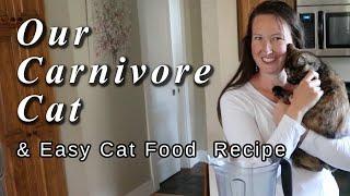 Our Raw Food Cat & Cat Food Recipe: Health Home and Happiness