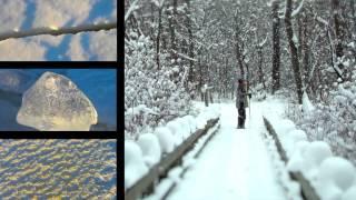 Dunes 101: Seasons - Indiana Dunes Country