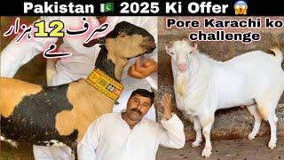 Sirf 12 Hazar Me Akhtar Bhai Ne Pora Pakistan  Ko Challenge Kar Diya  || Bakra Eid 2025