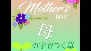母の日スペシャル動画「母の字がつく草がある」