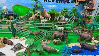 Jumbo Zoo Small Animal Figurines Diorama| Lion, Zebra, Giraffe- Mô hình động vật sở thú khổng lồ.