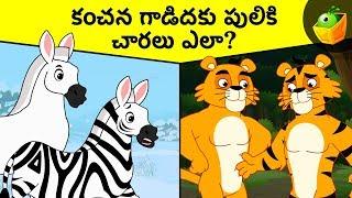 కంచన గాడిదకు పులికి చారలు ఎలా?  | Compilation Stories Animated Videos for Kids | MagicBox Telugu