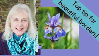 How to divide perennials - and why it makes your garden better