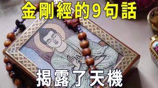 《金剛經》中最神秘的9句話，揭露了天機，看完勝讀十年書【曉書說】